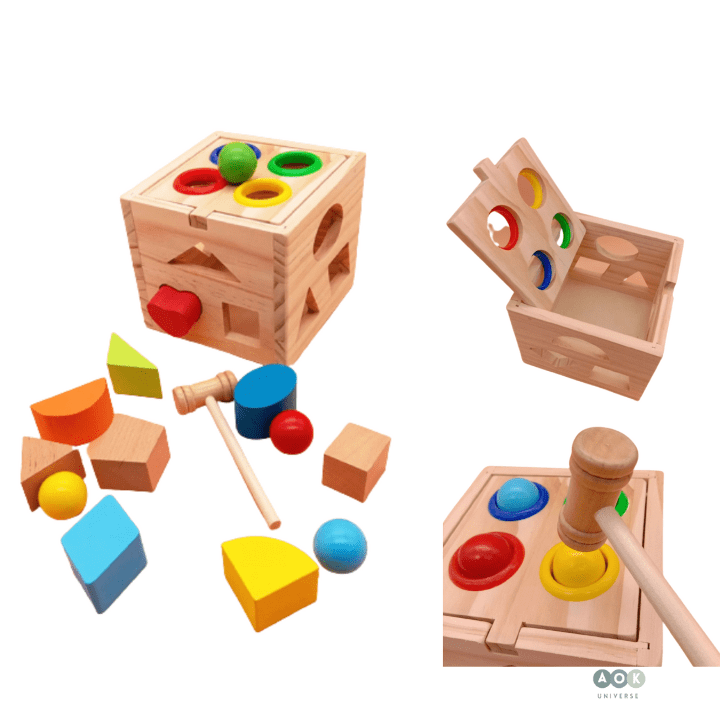 Shape Matching Box Knock Toy